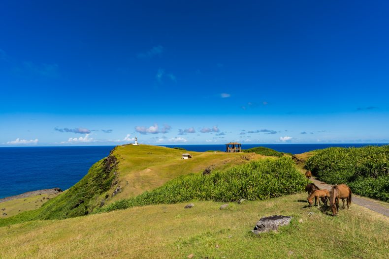 Yonaguni,Horse,In,Yonaguni,Okinawa,Japan